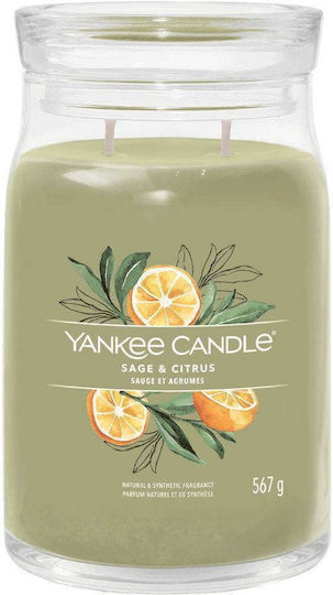 Yankee Candle Signature Aromatic Candle in Jar Sage and Citrus