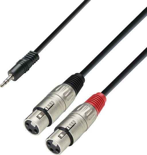Adam Hall 2 x XLR female to 3.5mm male 1m Cable