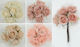 Rose Bouquet 15x10cm 6pcs Sdbf18376 0516070 (rotten Apple)