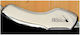 Prodigy Tar1 Tailpiece