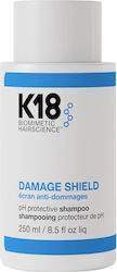 Damage Shield Protective Shampoo 250ml