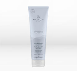 Paul Mitchell Awapuhi Wild Ginger Hydrate Shampoos Hydration & Shine for Normal Hair 250ml Paul Mitchell Awapuhi Wild Ginger Hydrate Shampoos Hydration & Shine for Normal Hair 250ml