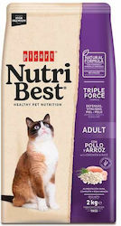 Picart Nutribest Dry Food for Adult Cats with Chicken / Rice / Ton 2kg Picart Nutribest Dry Food for Adult Cats with Chicken / Rice / Ton 2kg