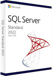 Microsoft SQL Server 2022 Ελληνικά σε Ηλεκτρονική άδεια
