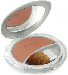 Pupa Blush Silk Touch 02