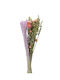 Kaemingk Dried Plant Pink 55cm 1pcs