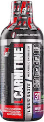ProSupps L-carnitine mit Carnitin und Geschmack Blaue Himbeere 473ml