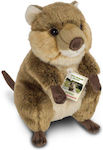 Hermann Teddy Plush Bear