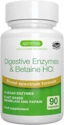 iGennus Digestive Enzymes & Betaine Hcl 300mg 90 κάψουλες iGennus Digestive Enzymes & Betaine Hcl 300mg 90 κάψουλες
