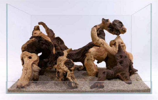 Aber Aquatic Mopani Wood 1kg Διακοσμητικό Ξύλο Ενυδρείου