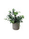 Artificial Plant in Small Pot Green 19cm TnS