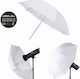 Diat Umbrella for Studio UBT108