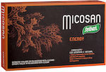 Santiveri Micosan Energy with Probiotics 40 caps