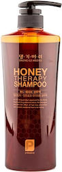 Daen Gi Meo Ri Динамично Шампоан Honey Therapy 500мл