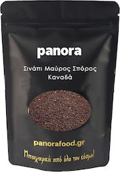Panora Σιναπόσπορος