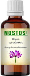 Nostos Pure Tincture Astragalus Membranaceus 30ml