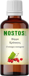 Nostos Pure Tincture Crataegus Monogyna 50ml