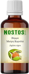 Nostos Pure Tinktur Schwarznuss 50ml