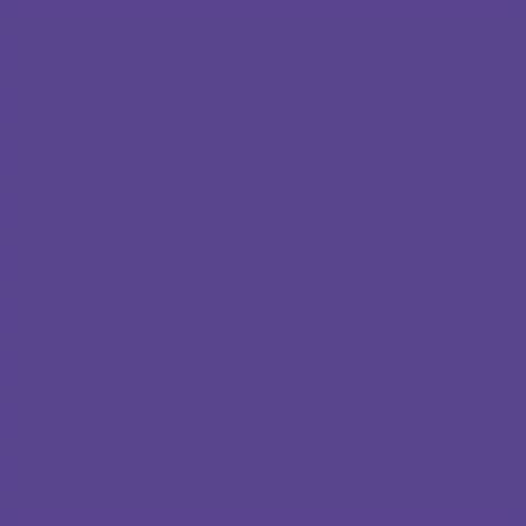 Falcon Eyes Photography Backdrop Paper 135x1100cm Purple
