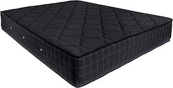 Bs Strom Black Exceptional Halb-Doppel Ergonomi...