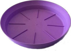 Micplast 72 Teller Topf Purple 20x20cm