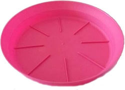 Micplast 70 Teller Topf Fuchsia 15x15cm