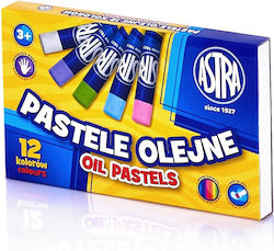 Astra Oil Pastels 12colours