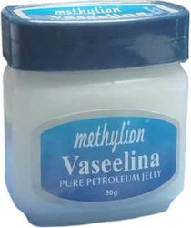 Methylion Vaseline 50gr