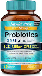NewRhythm Probiotics 120 Billion 30 capsule veget NewRhythm Probiotics 120 Billion 30 capsule veget