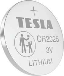 Evivak Lithium Watch Batteries CR2025 3V Pack of 5