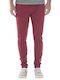 Dejas Hose Rot