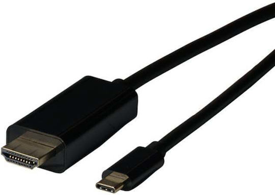 EFB Kabel HDMI-Stecker - USB-C-Stecker 2m Schwarz