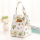 Etoile Food Carrier Bag "δασοσ" On White Background. Dimension: 18x18x25cm Lm-090l