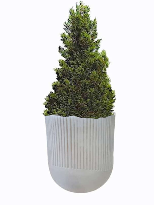 Art et Lumiere Planter Fiberglass Bronze 24x24x...