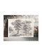 Shepherd Cattle T.h Картина на Платно 150x100см