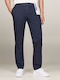 Tommy Hilfiger Denton Men's Trousers Chino in Straight Line Desert Sky