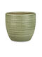 Scheurich Menta Planter Ceramic Green 25x25cm.