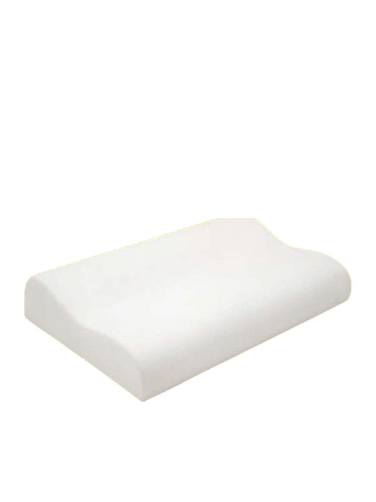Alpha Foam De Luxe Aloe Vera Memory Foam Anatomic Bed Pillow 32x48x8cm