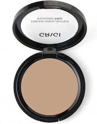 Grigi Makeup Cream Highlighter Powder Pro 103 Gold Copper10gr