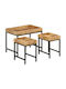 Rectangular Zigon Set Made of Solid Mango Wood 3 Pieces M50xW35xH40cm