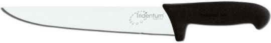 Tridentum Knife Meat from Stainless Steel 20cm
