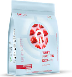 QNT Light Digest Protein Whey Gluten Free with ...