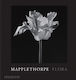 Mapplethorpe Flora