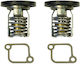 Sierra Internatonal LLC Termostat