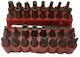 Set 33 Screwdriver Bits Torx / Torq