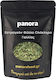 Panora Estragon 500gr