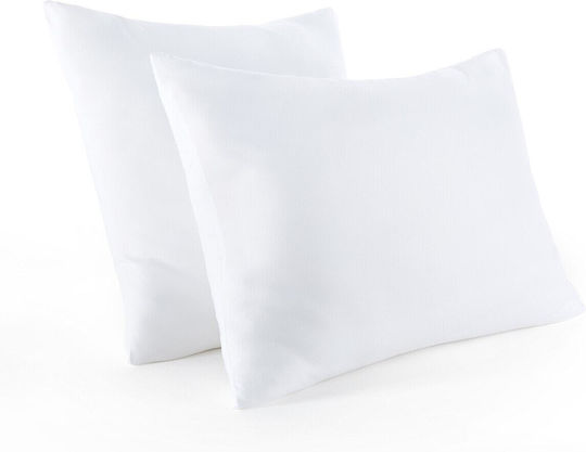 La Redoute Interieurs Polyester 65x100cm