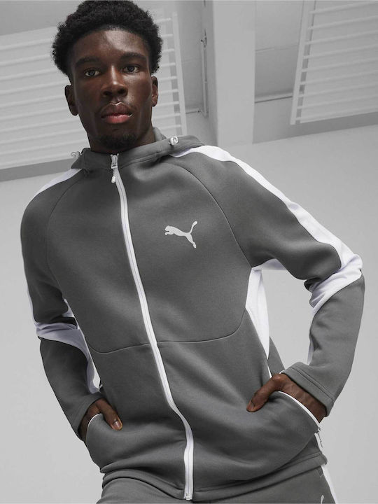 PUMA Sweatshirt with Hood Gray