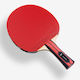 Paletă de Ping Pong Butterfly Champion 42513