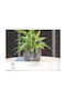 Viomes Natura No Ghiveci Plastic Gri 25x25x21εκ.